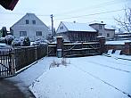 Třibřichy